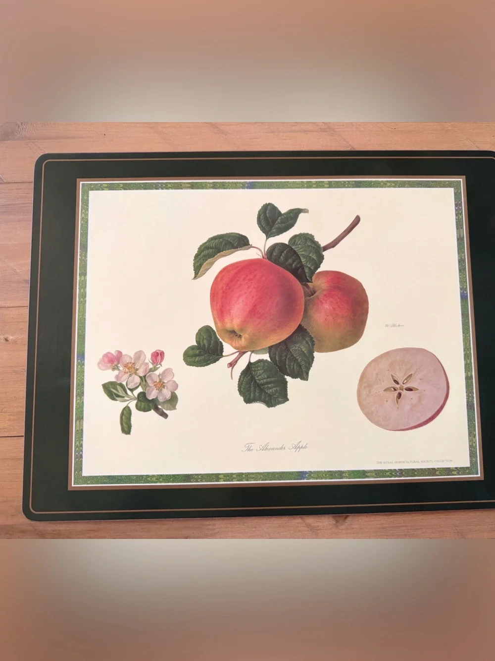 Pimpernel RHS Collection Cork Placemats Set 4 Botanical Fruit Hooker